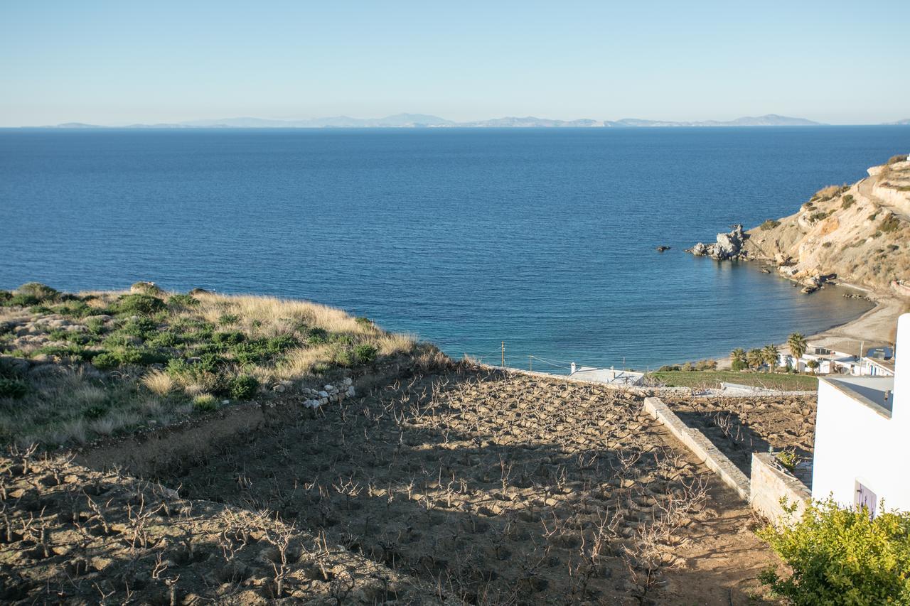 Villa Athina Ambrami Exteriér fotografie